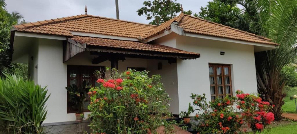 Rasa Gurukul Hotel Kizhake Chalakudi Exterior photo