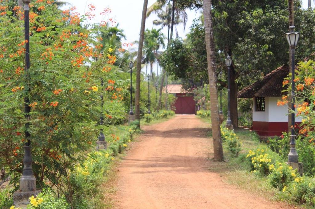 Rasa Gurukul Hotel Kizhake Chalakudi Exterior photo